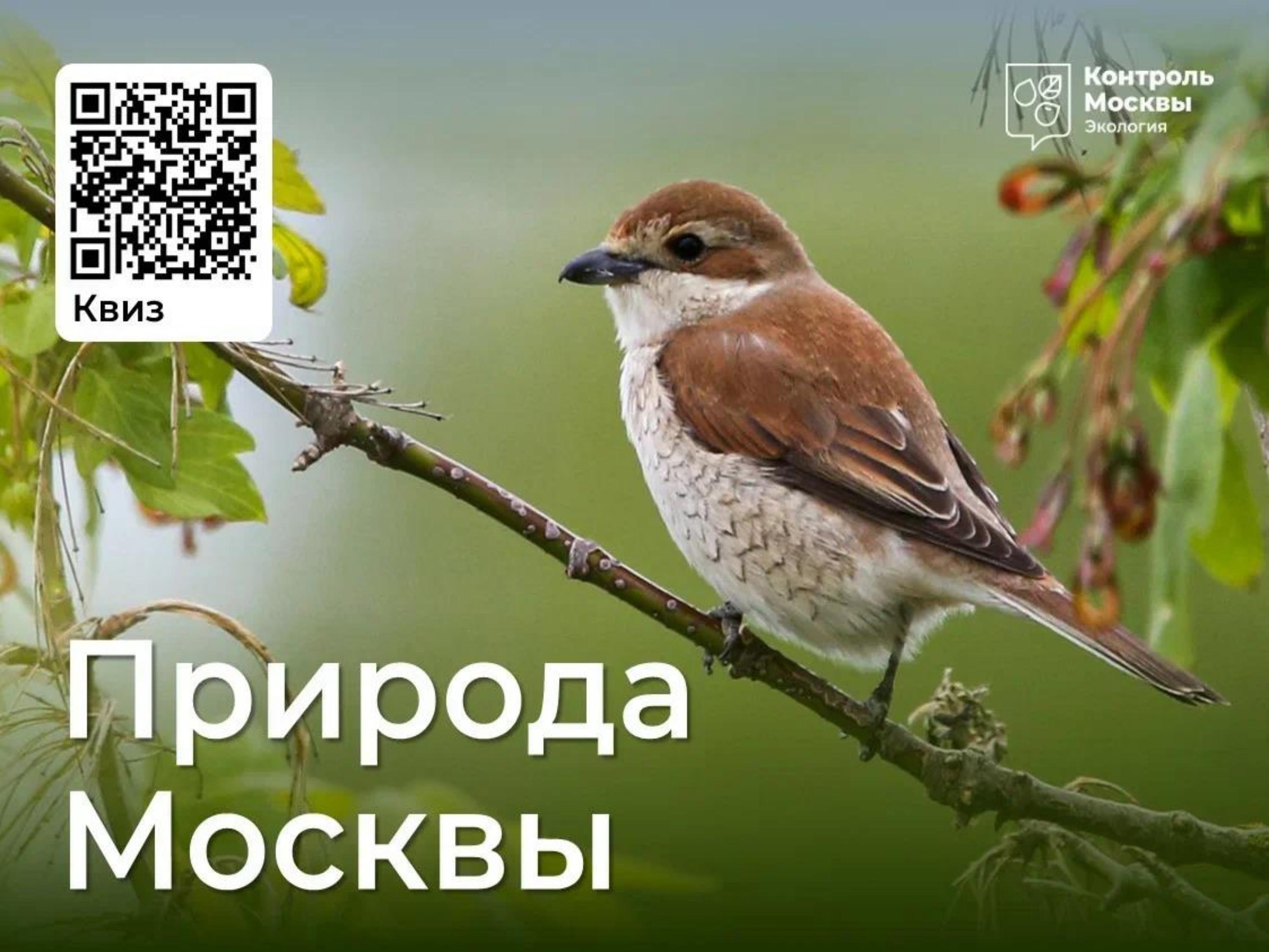 Природа Москвы