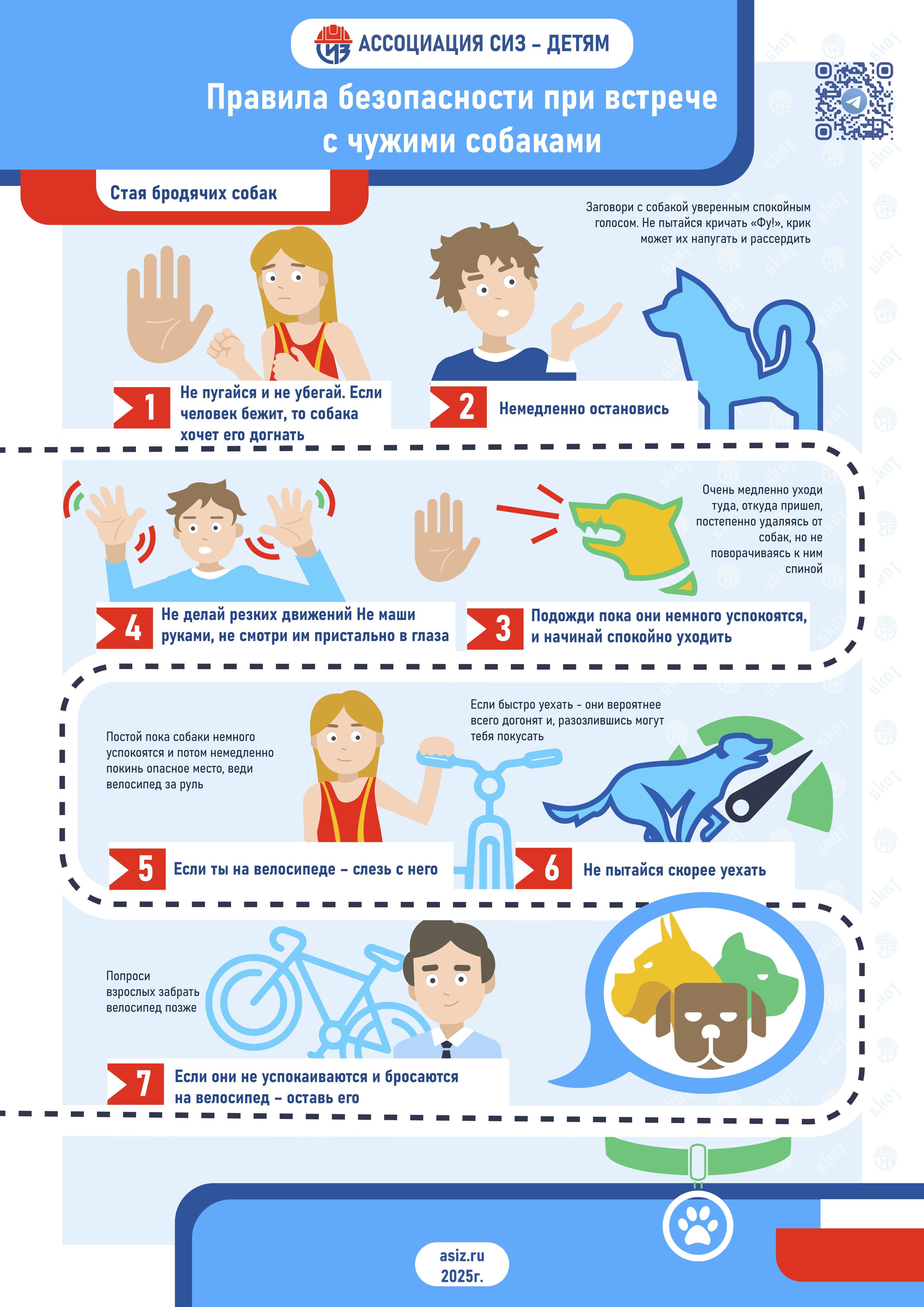 Правила безопасности при встрече с чужими собаками