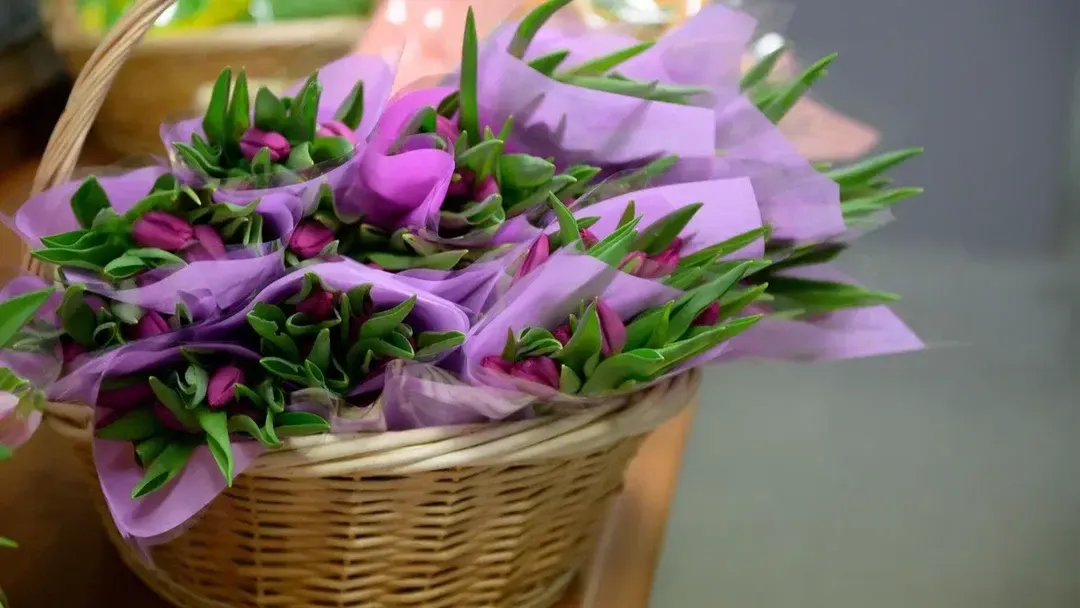 Анастасия Ракова рассказала о графике работы социальных учреждений Москвы впраздничные выходные